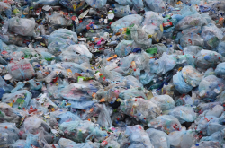 visuel déchets plastiques