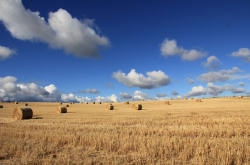 visuel agriculture