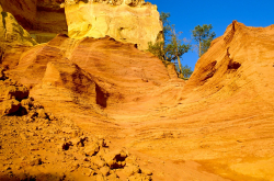 visuel forêt d'ocre