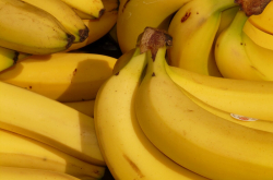 visuels bananes