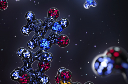 Molécule de thymidine triphosphate (TTP)