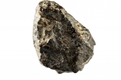 Photo d'une météorite de type chondrite