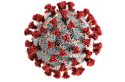 Représentation shématique du coronavirus