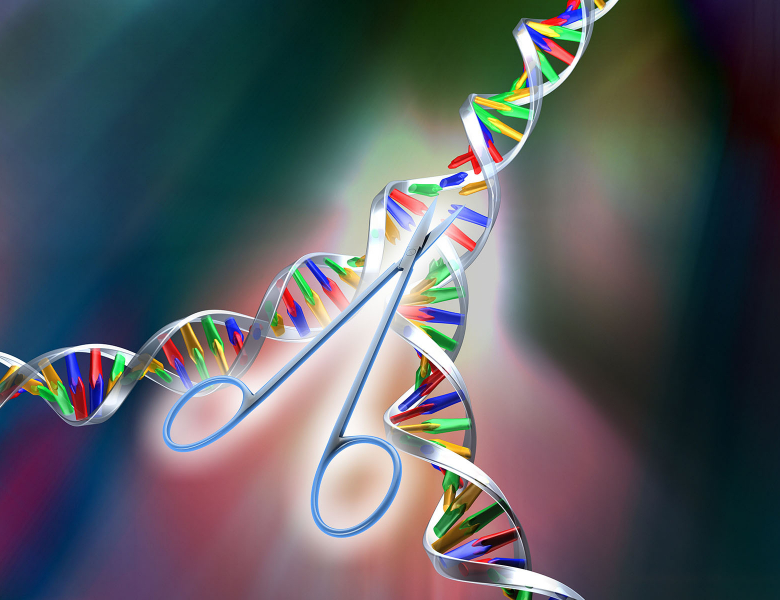 Ilustration de CRISPR-Cas 9, outil d'édition du génome, analogue à une paire de ciseaux moléculaires