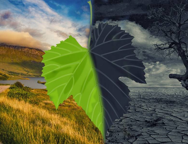 Illustration du changement climatique